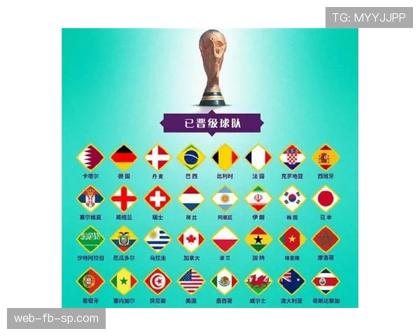 加纳队世界杯表现回顾：小组赛成绩与排名整理
